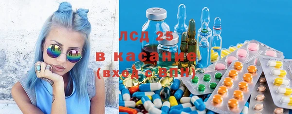 дмт Болотное