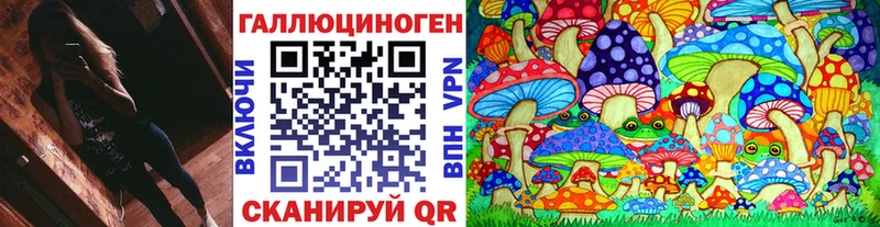 Псилоцибиновые грибы Psilocybine cubensis  Котельниково 