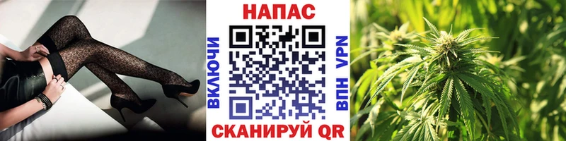 закладка  Котельниково  Каннабис семена 